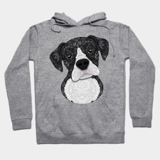 Black and white boxer Hoodie